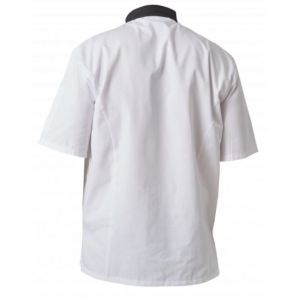 Veste de cuisine à manches courtes mixte PBV - 27VALIN 2