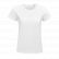 T-shirt PIONEER Sol's blanc
