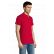 POLO SUMMER II HOMME MANCHES COURTES 11342 - SOL'S