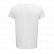 TEE-SHIRT COTON BIO FEMME CRUSADER 03581 - SOL'S