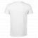 TEE-SHIRT HOMME LEON MADE IN FRANCE 03272 - ATF