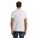 POLO PERFECT HOMME MANCHES COURTES 11346 - SOLS