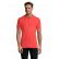 POLO PERFECT HOMME MANCHES COURTES 11346 - SOLS