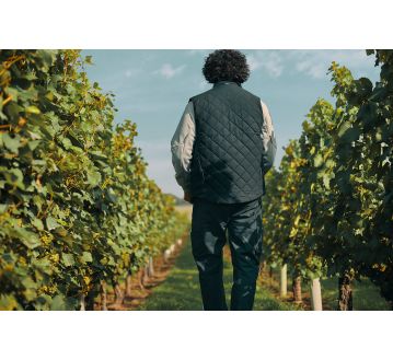 GILET DE TRAVAIL ISOLANT YALA - DASSY