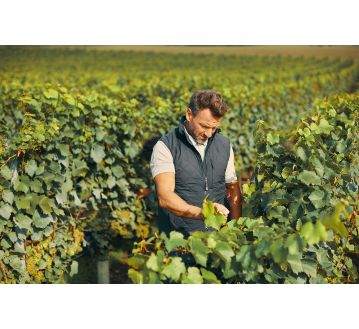 GILET DE TRAVAIL ISOLANT YALA - DASSY