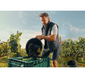 GILET DE TRAVAIL ISOLANT YALA - DASSY