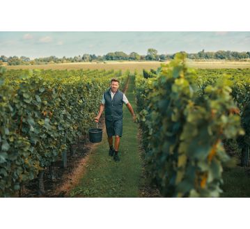 GILET DE TRAVAIL ISOLANT YALA - DASSY