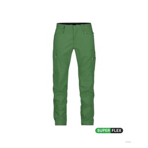 PANTALON DE TRAVAIL BRYCE - DASSY 2