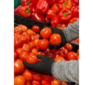 GANTS TACTILES HOMME MARINE ANTI-VIRUS ANTI-BACTERIES HBT811 - HOFLER